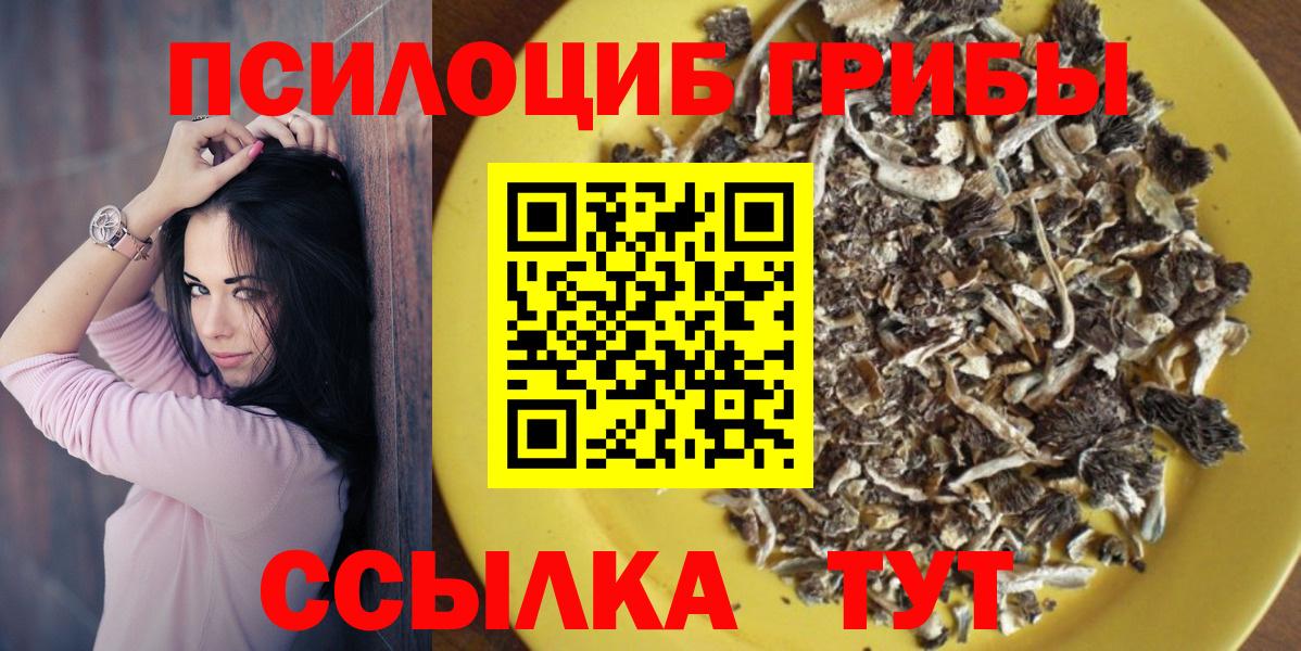 Сургут  Галлюциногенные грибы ЛСД  Псилоцибиновые грибы Magic Shrooms  как найти   Вход с VPN 