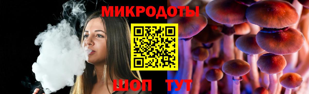 Псилоцибиновые грибы мицелий Сургут