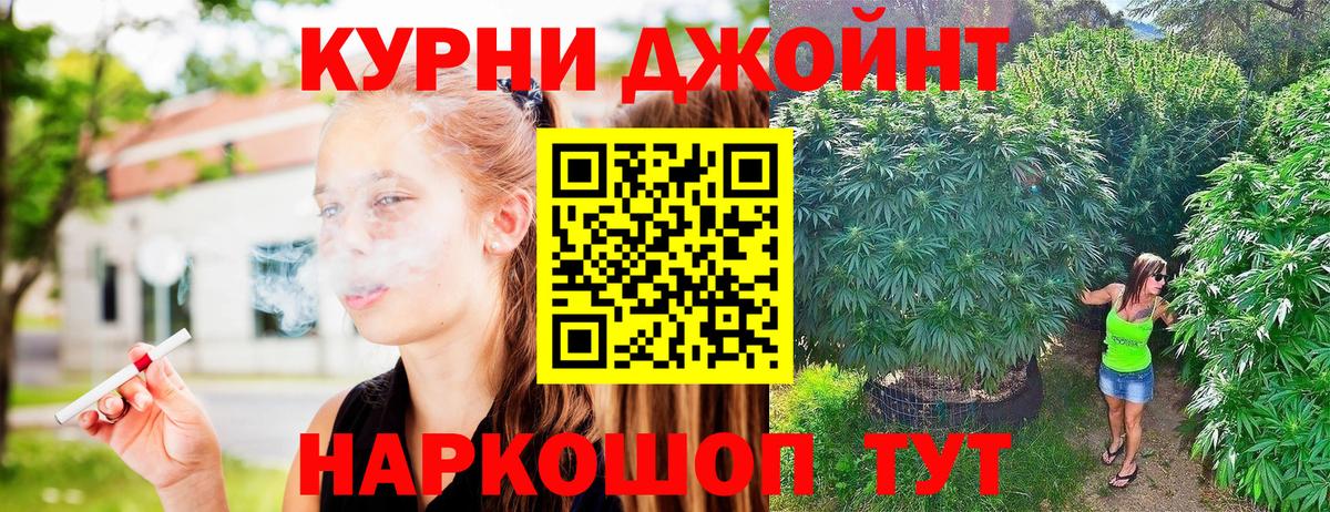 Марихуана планчик  Бошки марихуана план  Вход с VPN  Сургут 